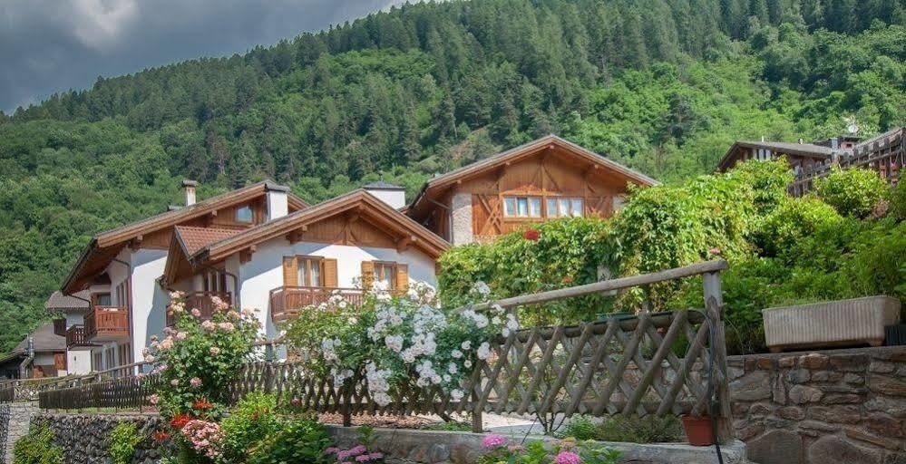 Hotel Val Di Sole เมซซานา ภายนอก รูปภาพ